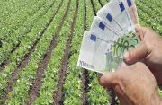 Δημοσιεύθηκαν τα ΦΕΚ με τις συνδεδεμένες ενισχύσεις σε αγροτικά προϊόντα