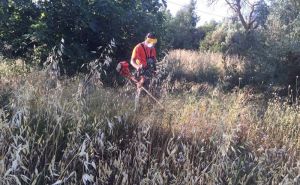 Δημοσιεύθηκε η ΚΥΑ για τα μέτρα προληπτικής πυροπροστασίας και τον καθαρισμό οικοπέδων - Υποχρεώσεις πολιτών και φορέων ενόψει της αντιπυρικής περιόδου